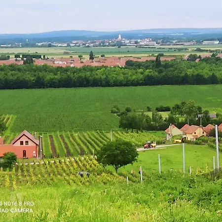 Sklipek U Svobodu Gospodarstwo wiejskie